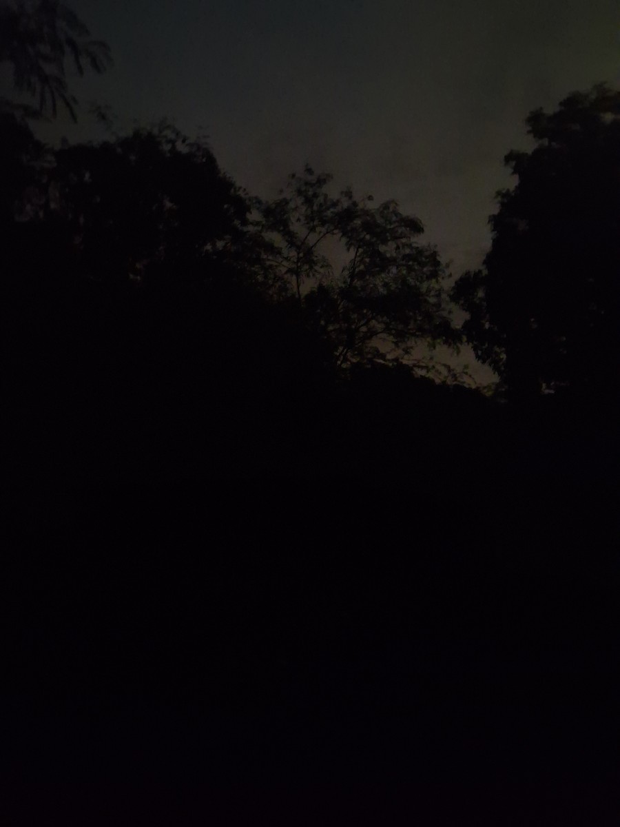 null - ML656078554