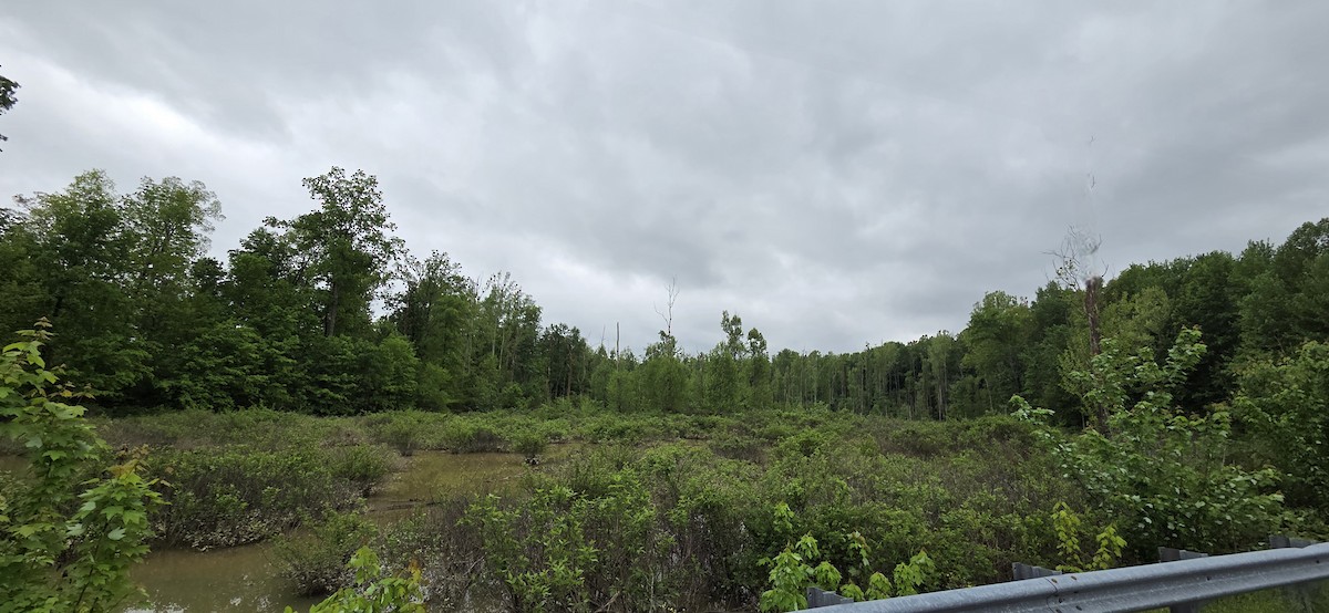 null - ML656094683