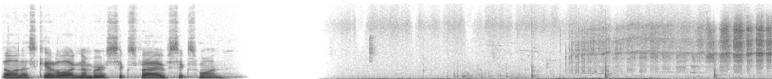 Belted Kingfisher - ML6561