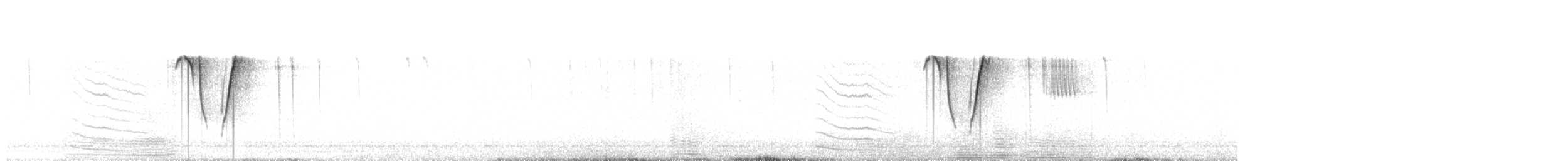 Western Grasswren - ML656102971