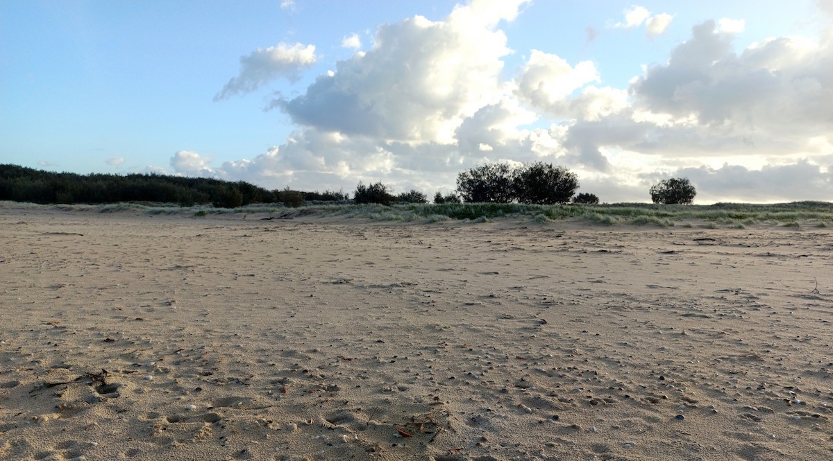 null - ML656105393
