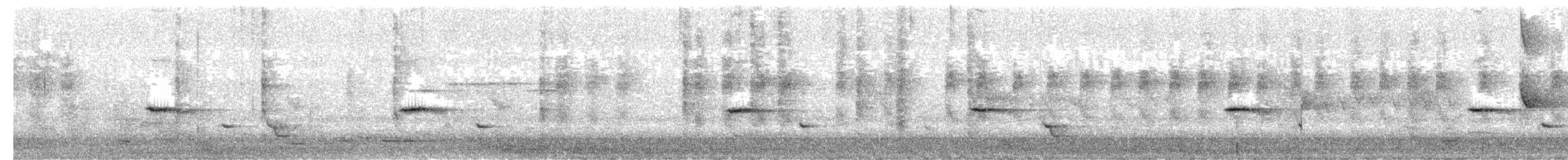 flekkdiamantfugl - ML656108924