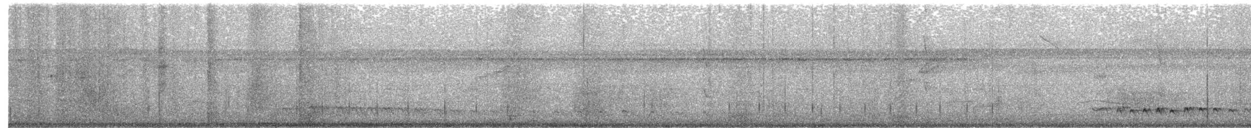 amazonvatretreløper (certhia) - ML656108983