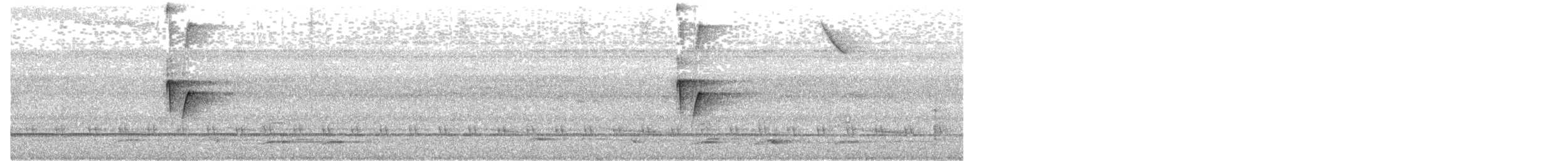svarthettetodityrann - ML656110713
