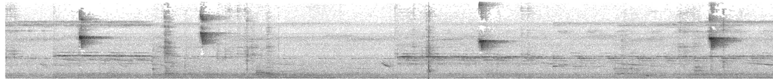 svarthettetodityrann - ML656110714
