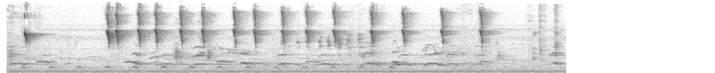 svarthettetodityrann - ML656110718