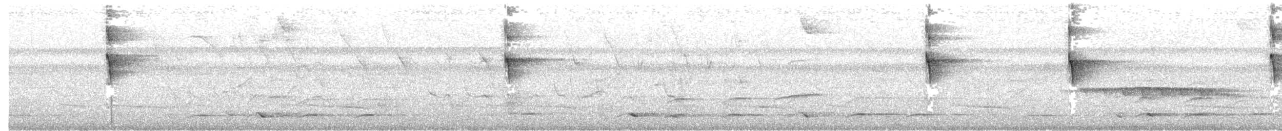 svarthettetodityrann - ML656110719