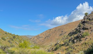 Avimor--Spring Valley Creek Trail, Ada, Idaho, United States - eBird ...