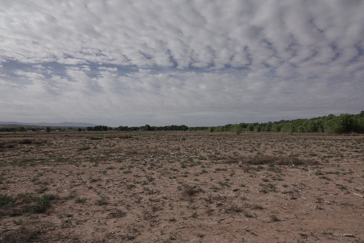 null - ML656213752