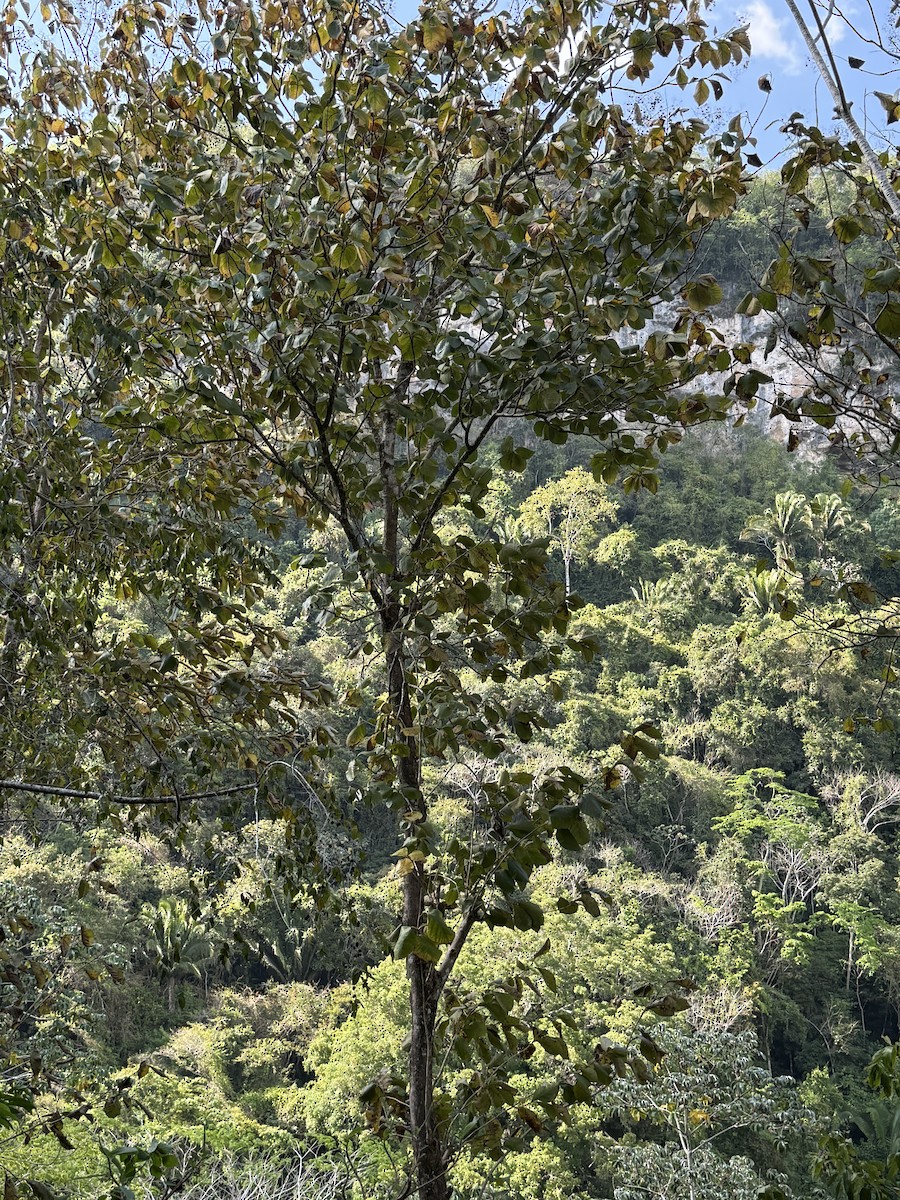 null - ML656222611