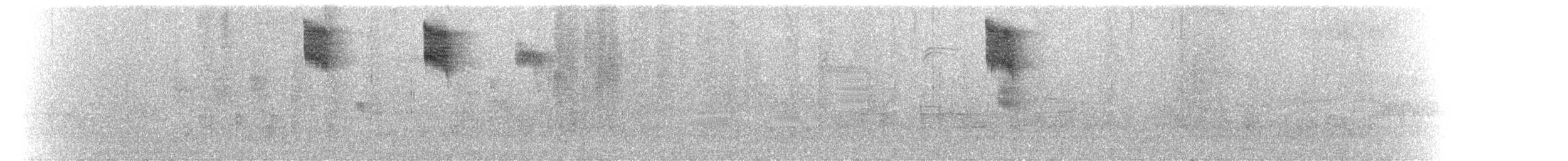 Colibri d'Allen - ML65623771