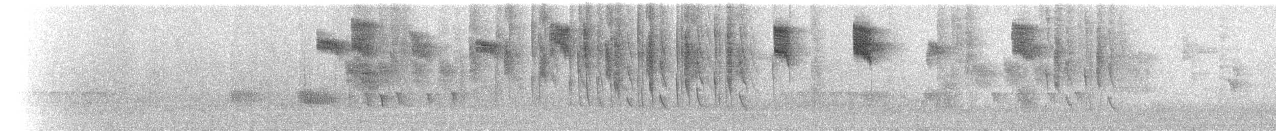 Colibri d'Allen - ML65623901