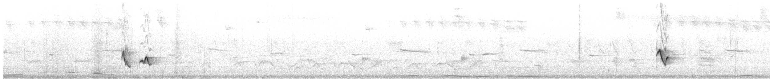 Yucatan Vireo - ML656260332