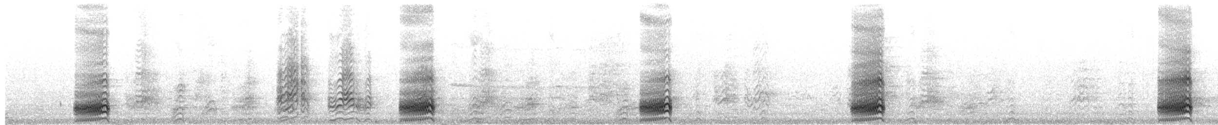Sooty Tern - ML656262365