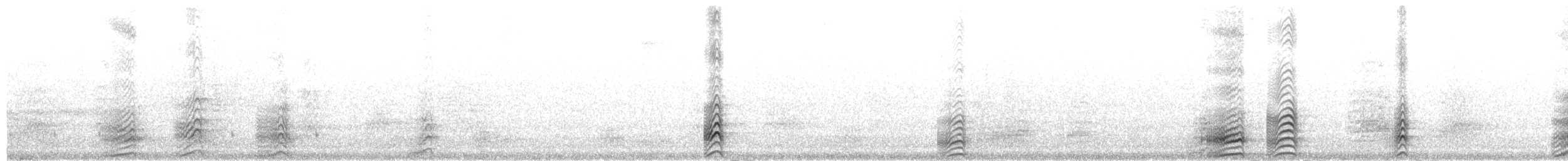Bridled Tern - ML656262396