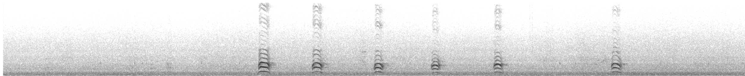 Bridled Tern - ML656262398