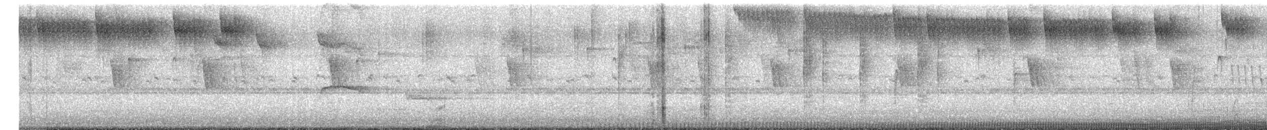 Southern Beardless-Tyrannulet - ML656267058