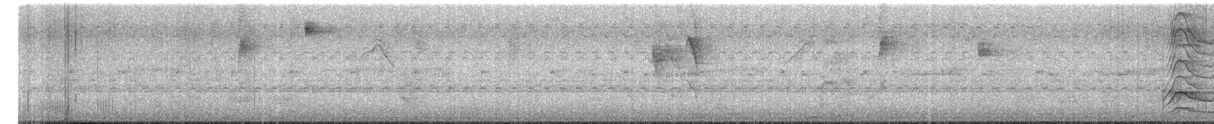 Roadside Hawk - ML656267067