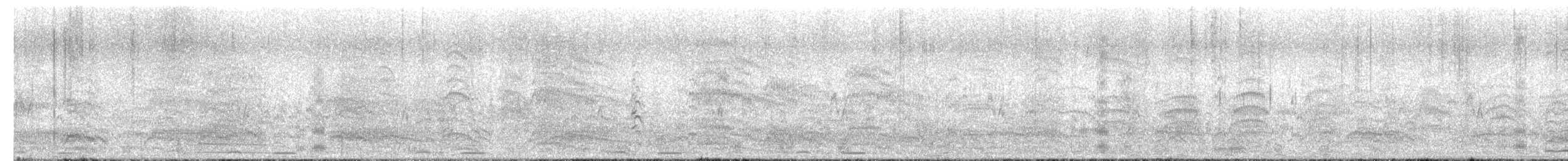 大杜鵑 - ML656285928