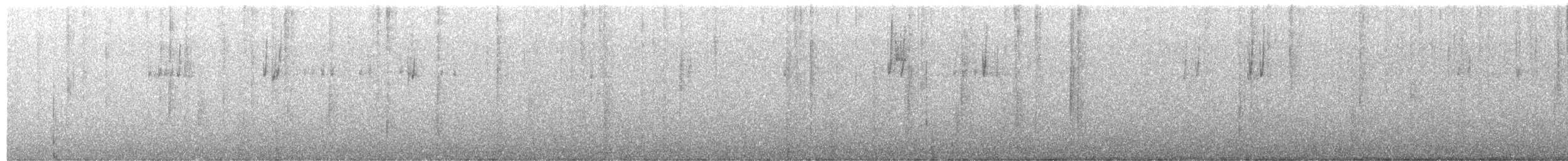 vinterjunko (mearnsi) - ML656296808