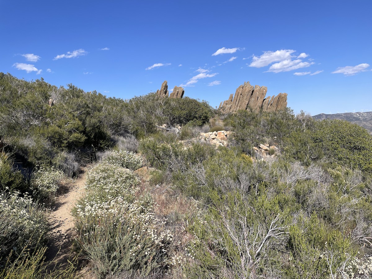 null - ML656341121