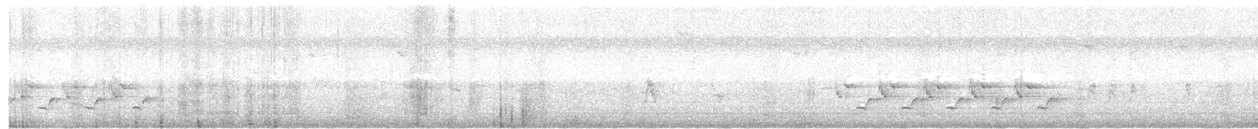 Carolina Wren - ML65634271