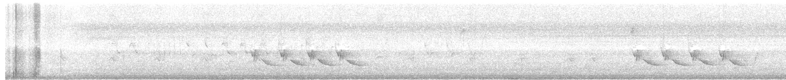 Carolina Wren - ML65634291