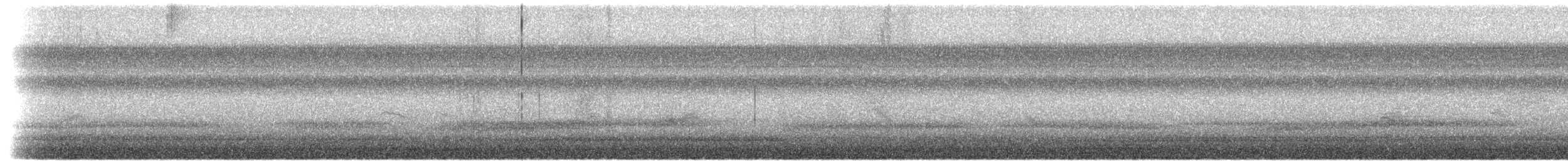 passerine sp. - ML656375127