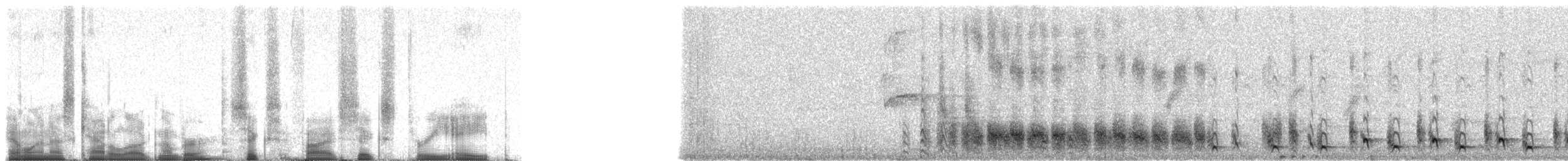 svartnebbskjeggfugl - ML65638