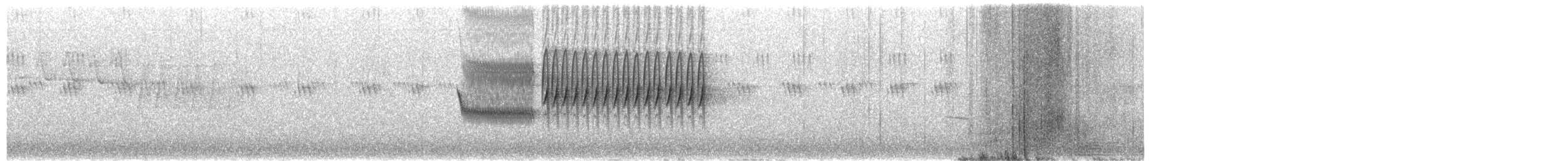 strnadec zimní (ssp. hyemalis/carolinensis) - ML656381089