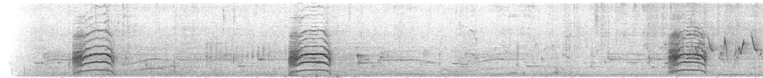 Virginia Rail - ML656389296