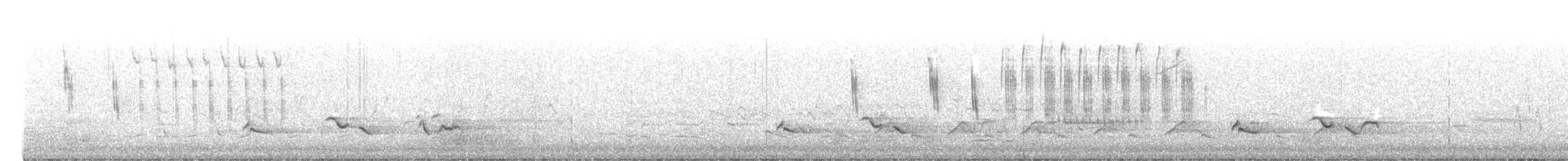 Sedge Wren - ML656451591