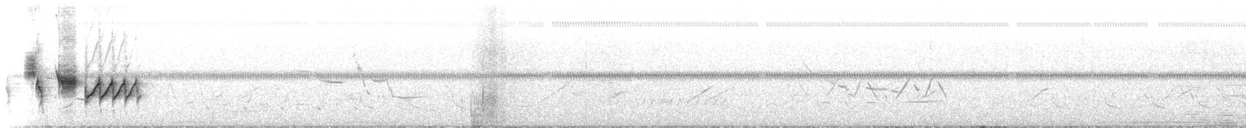 pipilo rudooký (ssp. alleni/rileyi) - ML656452621