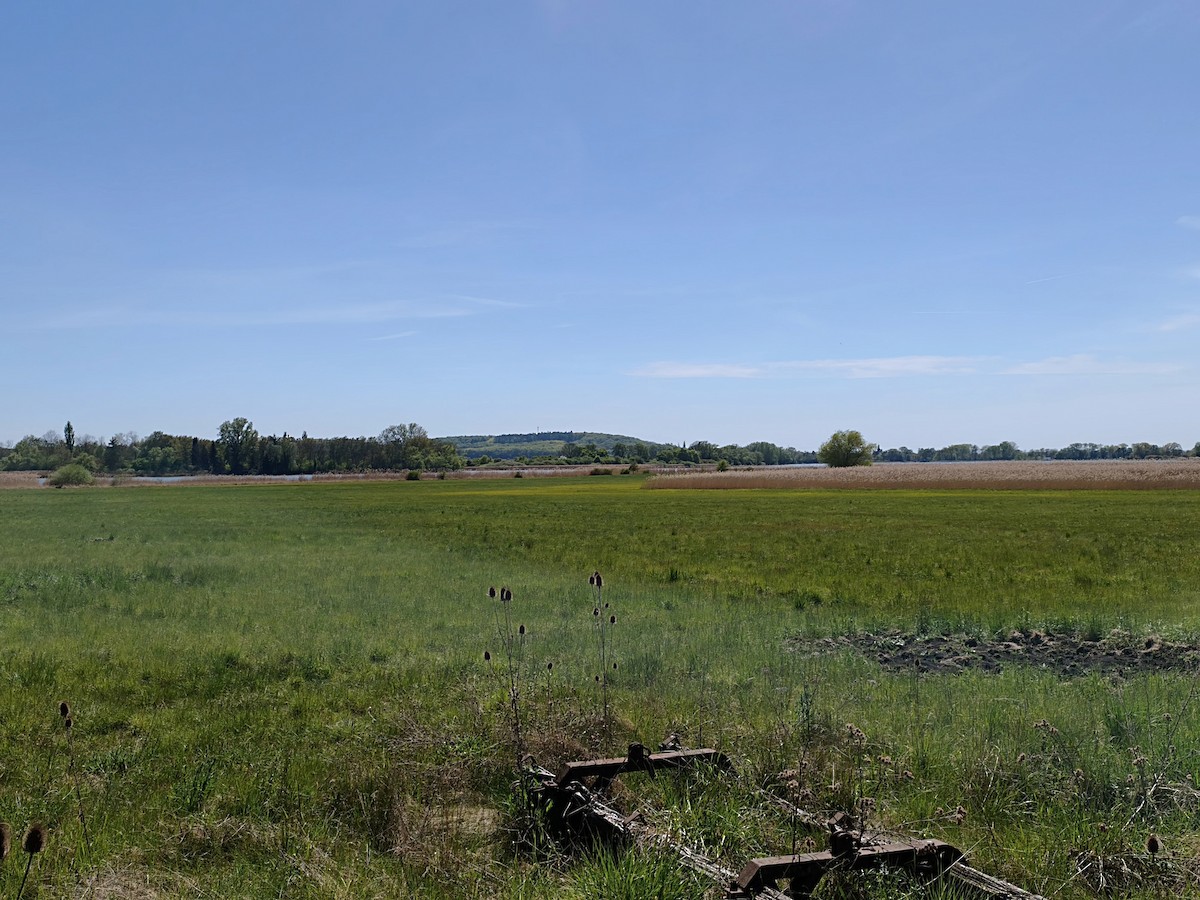 null - ML656458745