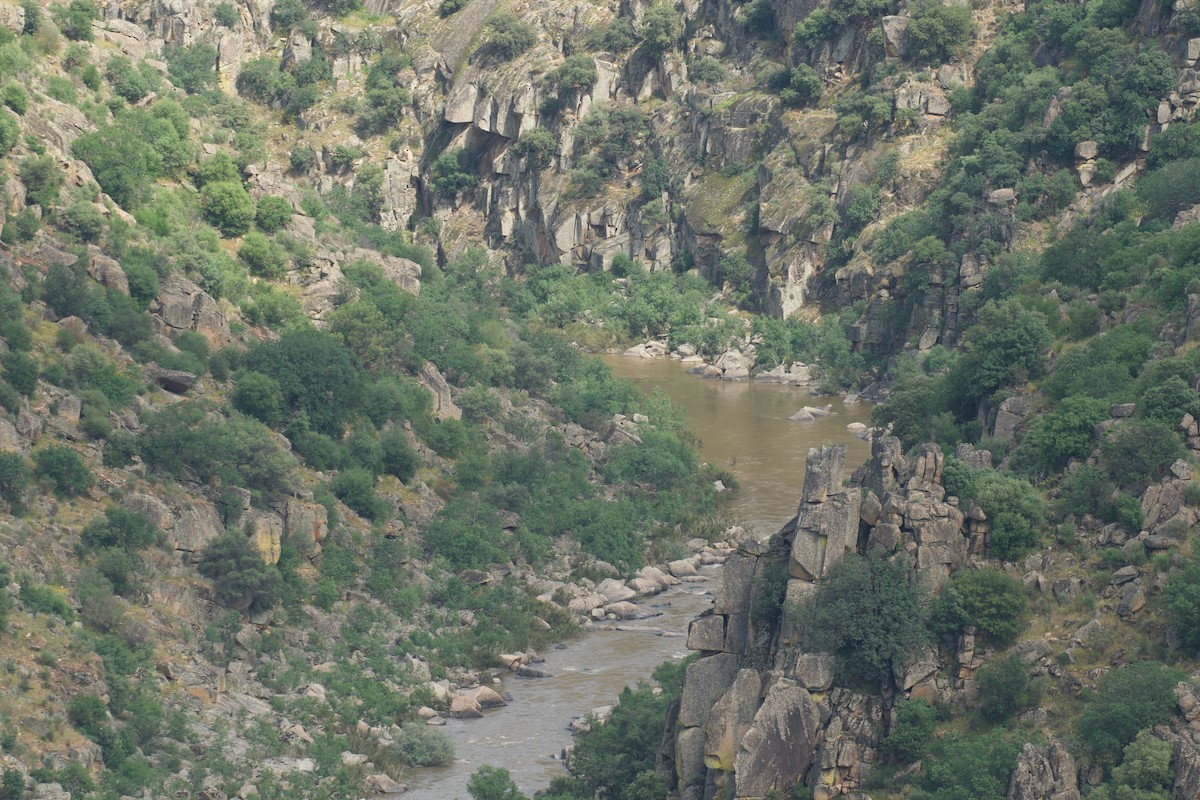 null - ML656459690
