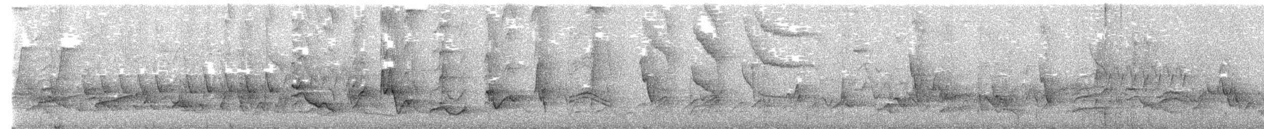 Passeriformes sp. - ML656484218