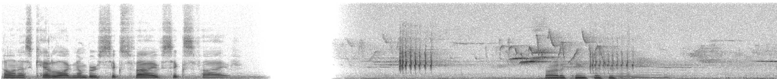 Belted Kingfisher - ML6565