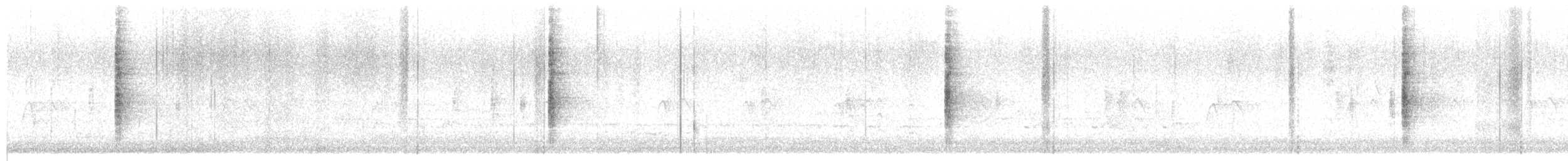 שחרורית אדומת-כנף - ML656507359