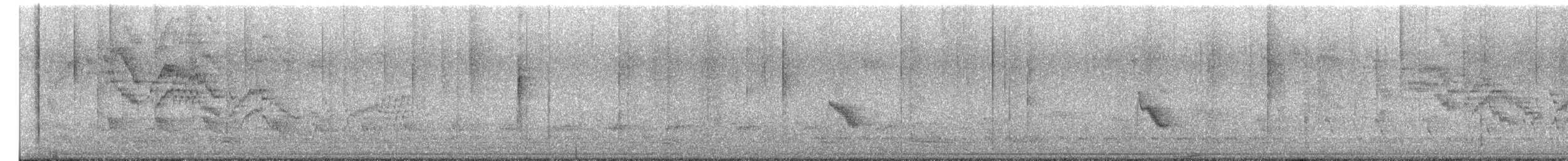 Bicknell's Thrush - ML656532020