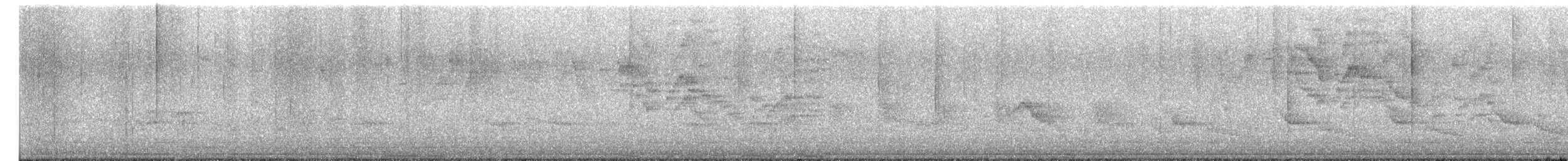 Bicknell's Thrush - ML656532021