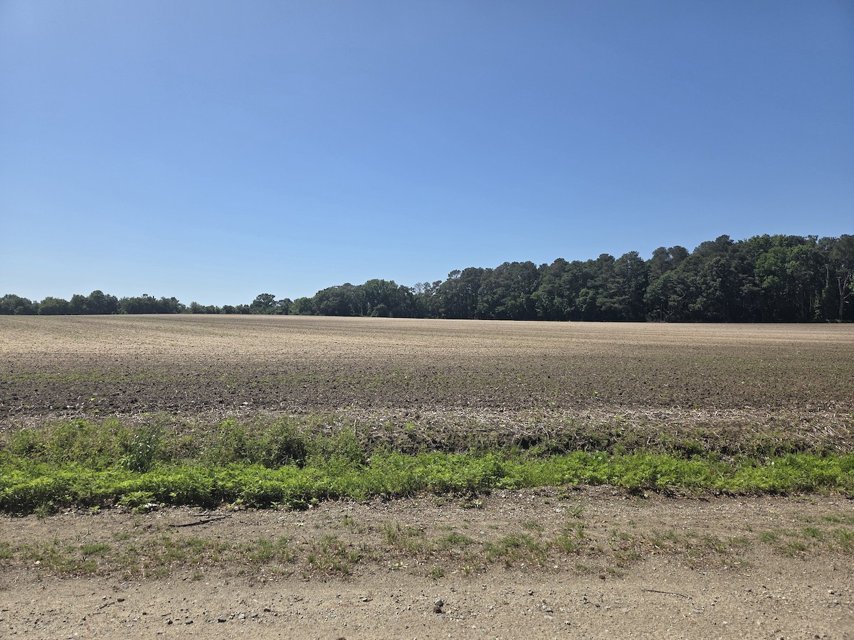 null - ML656539647