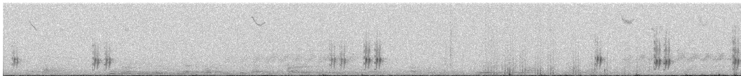 Bewick's Wren - ML656553338