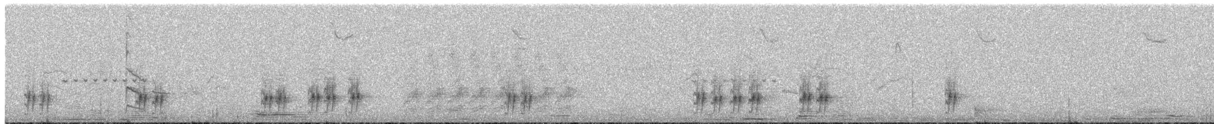Bewick's Wren - ML656553520