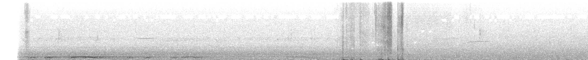 Barred Owl - ML656584835