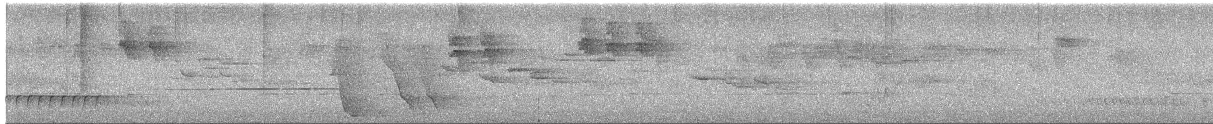Katanar paparzuria - ML656612829