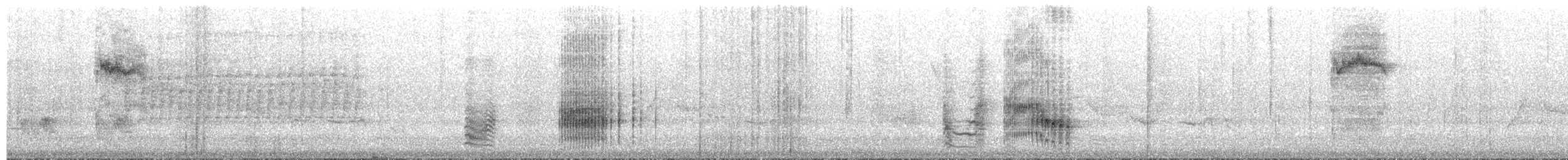 Black-backed Puffback (White-winged) - ML656615136