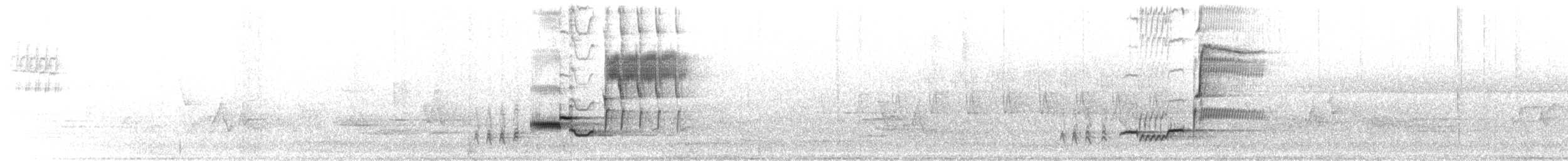 קיכלי יערות - ML656628888