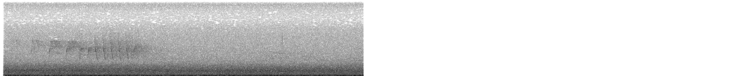 Northern Waterthrush - ML656655727