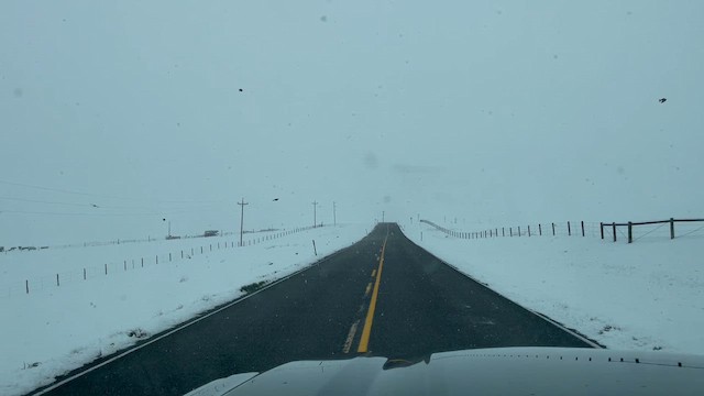 Hegatxabal adarduna - ML656659909