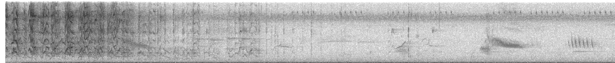 praktrosella - ML656674501